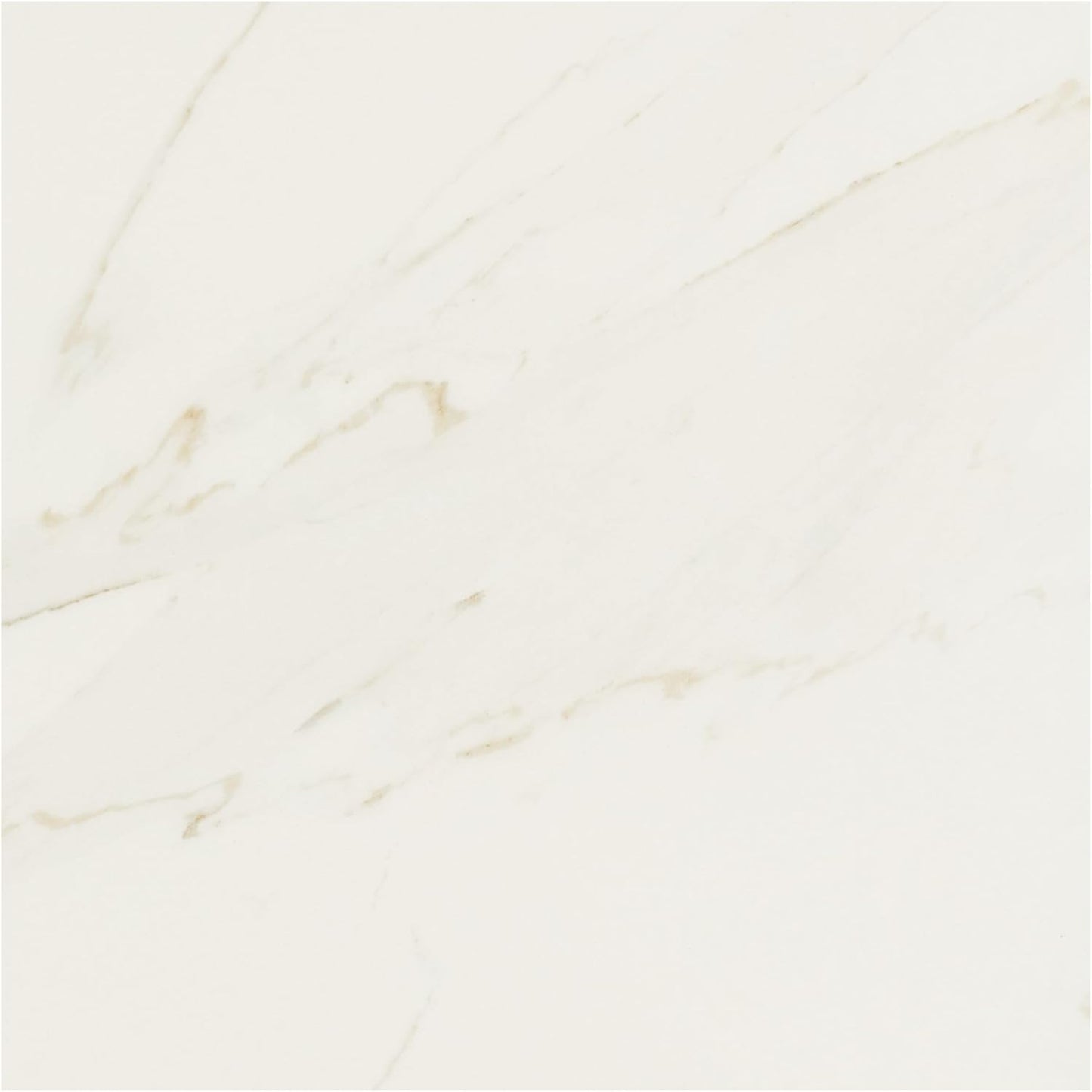Daltile Florentine 12" X 12" Glazed Porcelain Floor Tile in Carrara (13 PC Per Carton) (12.22 SQFT Per Carton)
