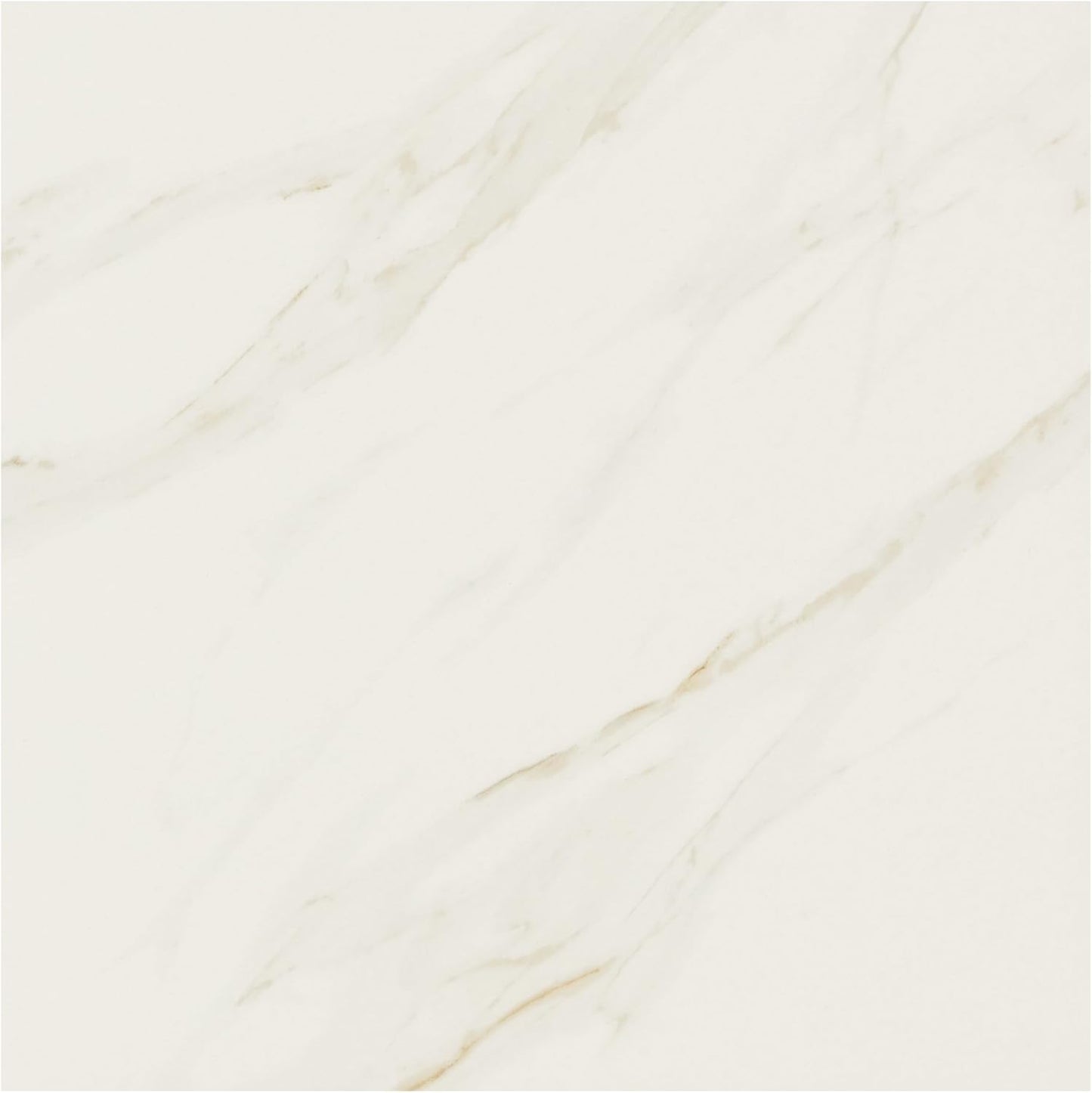 Daltile Florentine 12" X 12" Glazed Porcelain Floor Tile in Carrara (13 PC Per Carton) (12.22 SQFT Per Carton)
