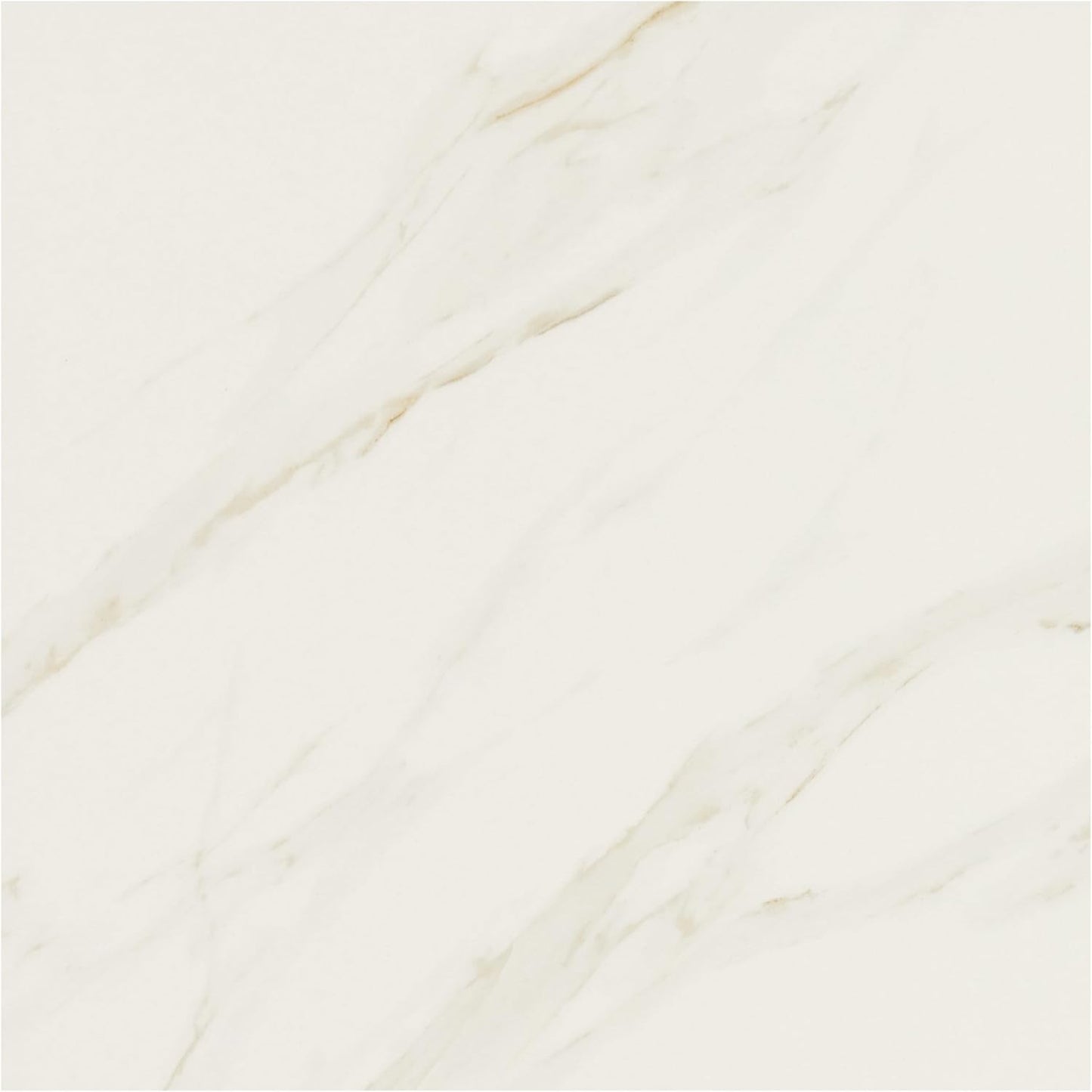 Daltile Florentine 12" X 12" Glazed Porcelain Floor Tile in Carrara (13 PC Per Carton) (12.22 SQFT Per Carton)